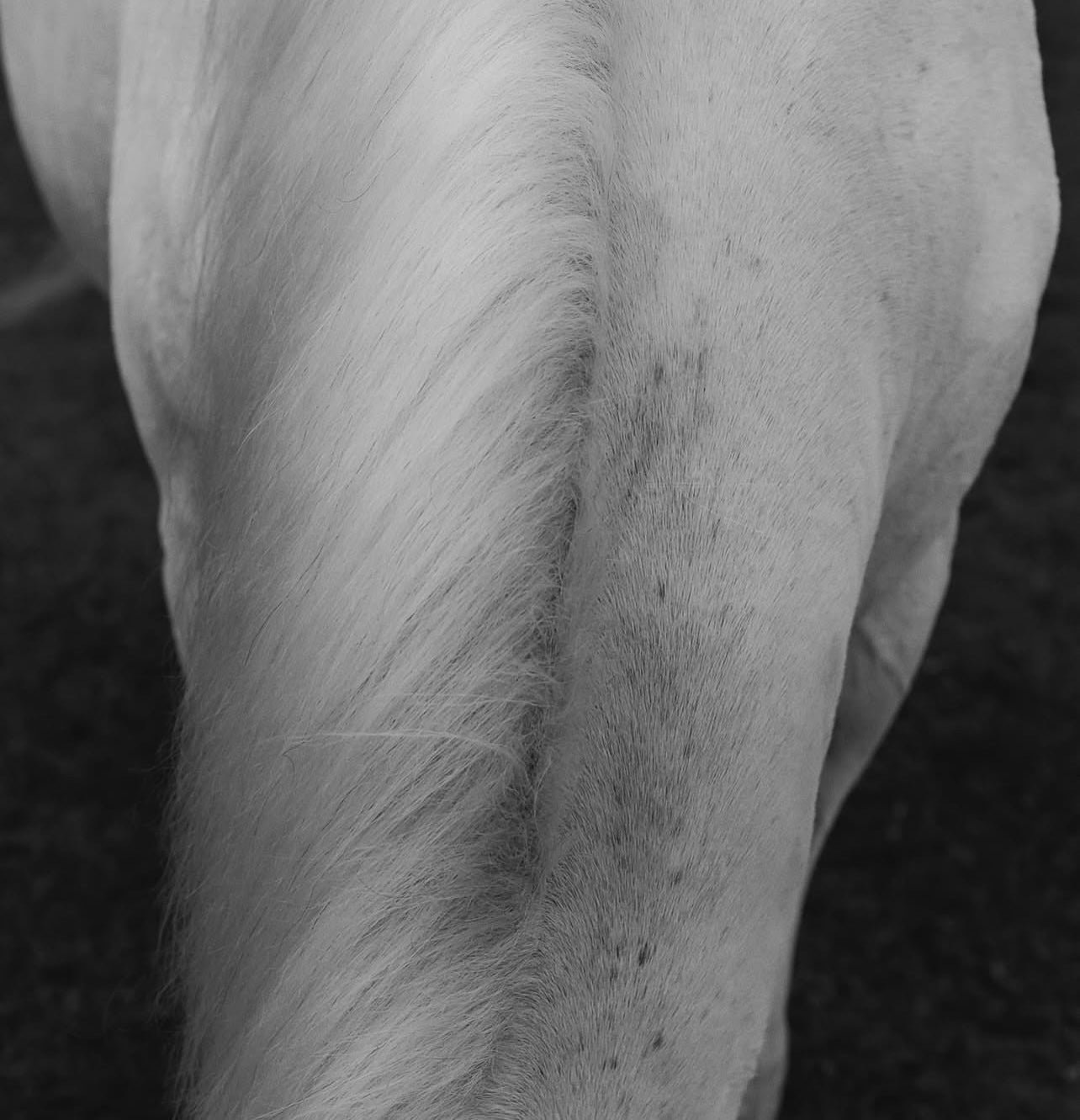 Maison d’ETTO Karat Candle