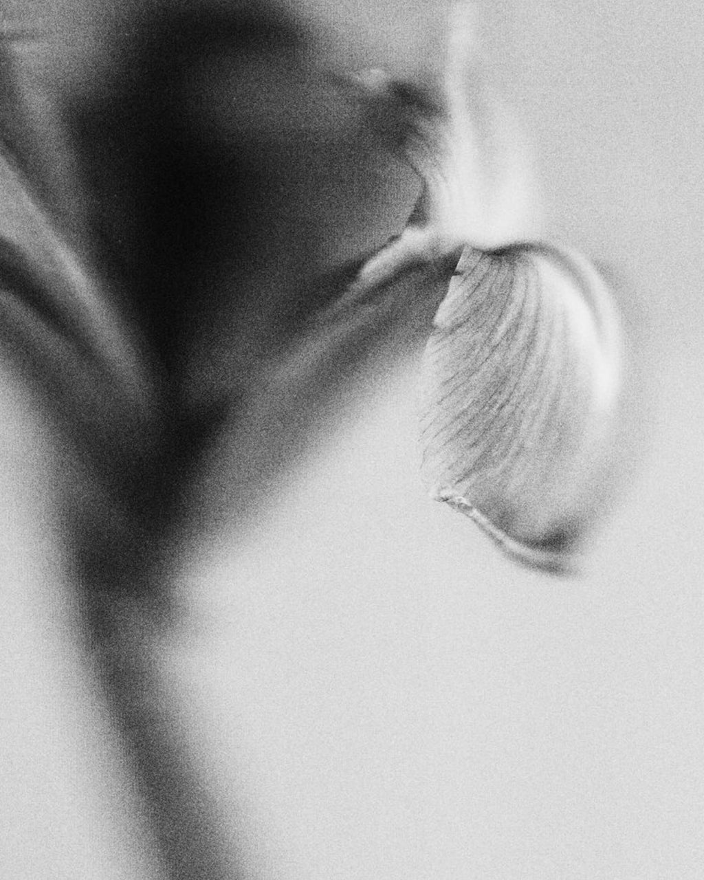 Maison d’ETTO Durban Jane Candle