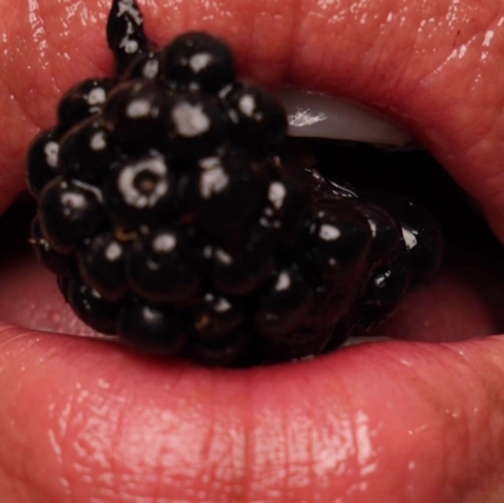 Anfisa AN GLOSS Berry Crumble